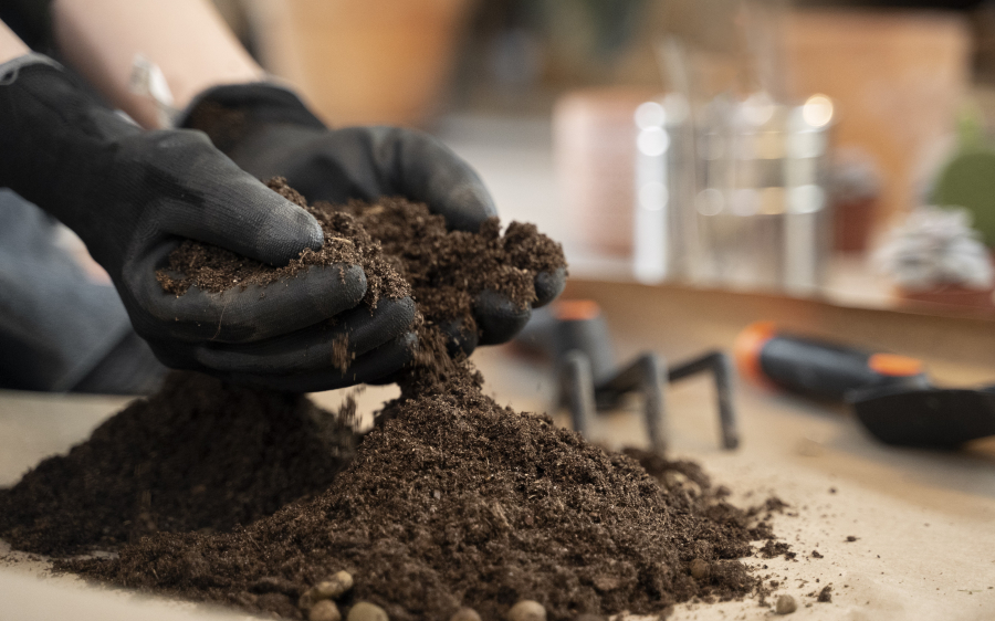 Entregas de fertilizantes têm leve queda em 2024