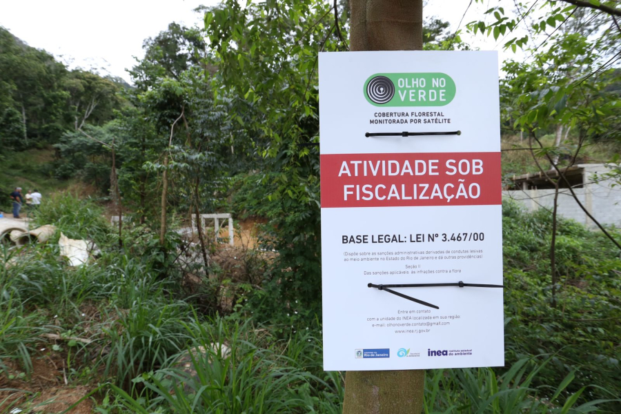 Desmatamento da Mata Atlântica reduz 66% no Rio de Janeiro em 2023