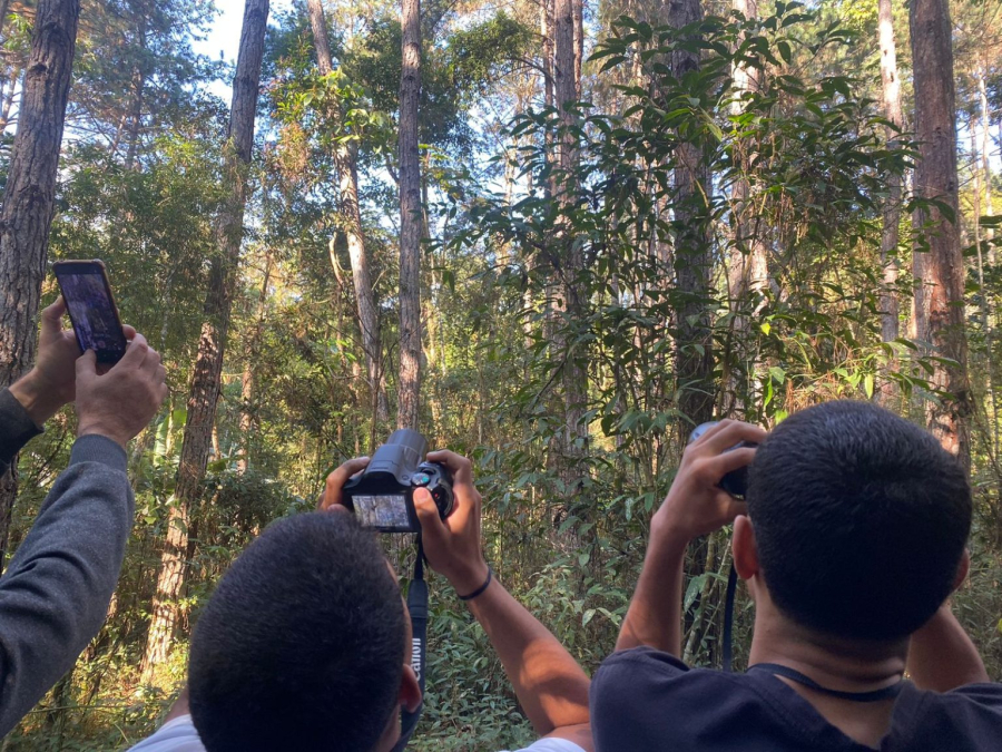Alunos do Colégio Estadual Euclydes da Cunha realizam atividades relacionadas à Observação de Aves 